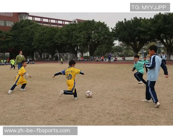 《小小足球星带你探索青少年足球梦想的起航与成长历程》